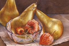 26-Golden-Pears-10_-x-10_-watercolour
