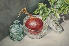 36-Red-Onion-Basil-9_-x-12.75_-watercolour